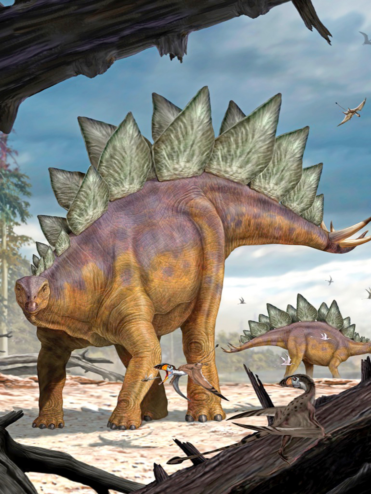 Stegosaurus Dinosaurs Jigsaw Puzzle