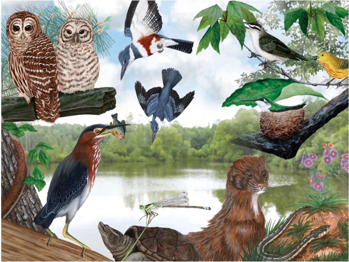 Audubon Garden of Song Puzzle