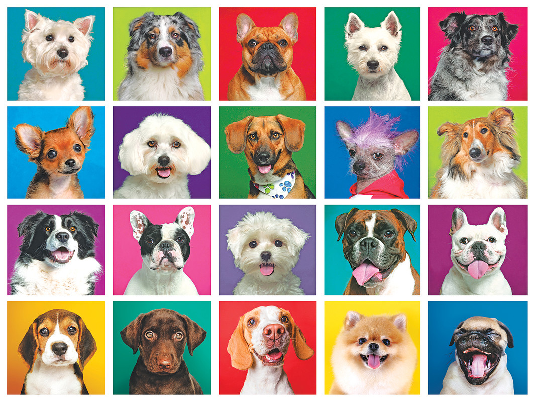 20 Dogs Animals Jigsaw Puzzle