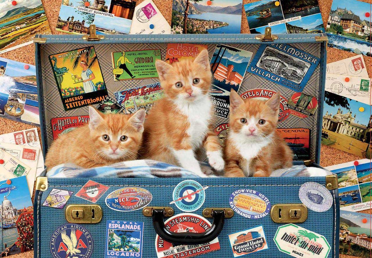 Travelling Kittens Travel Jigsaw Puzzle