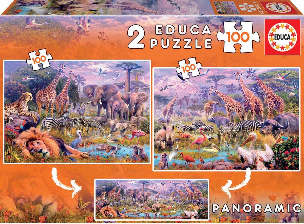 Educa Jigsaw Puzzles