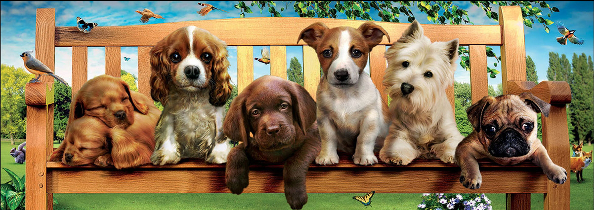 Puppies On A Bench Dogs Jigsaw Puzzle