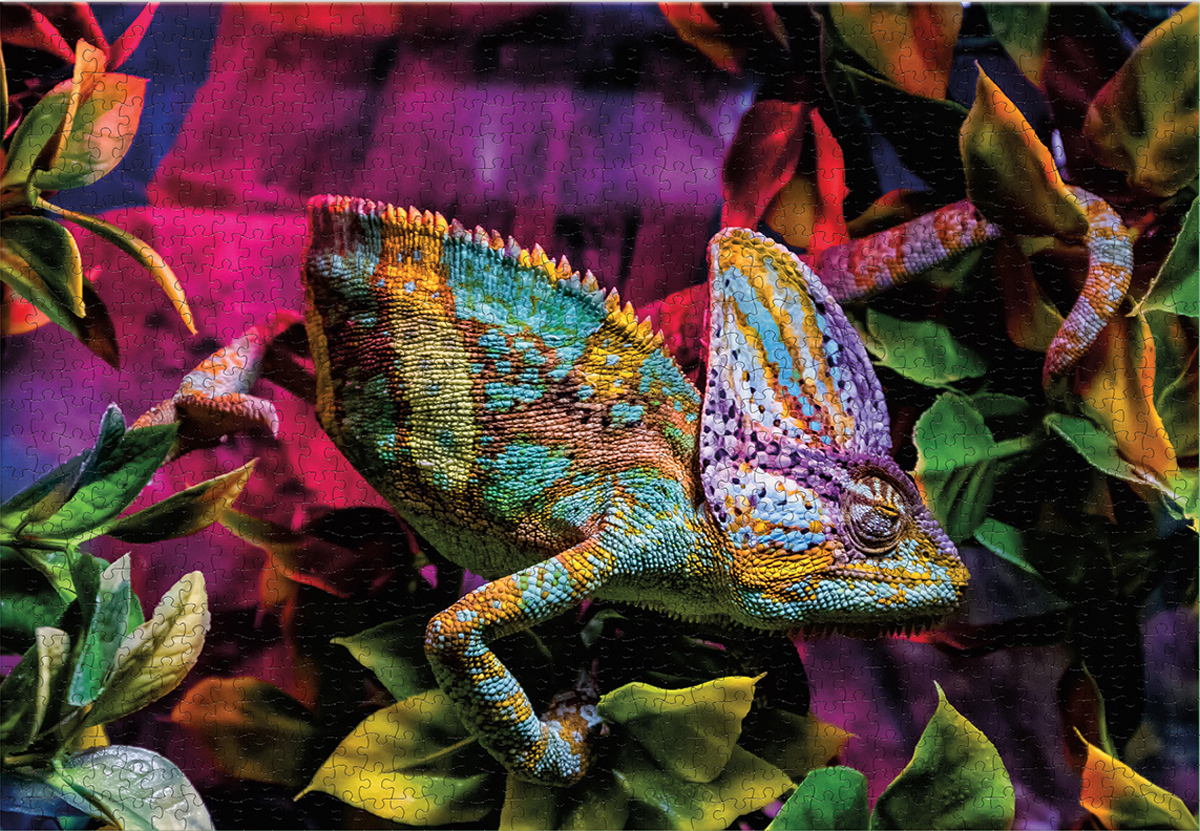 Colorful Chameleon Reptile & Amphibian Jigsaw Puzzle