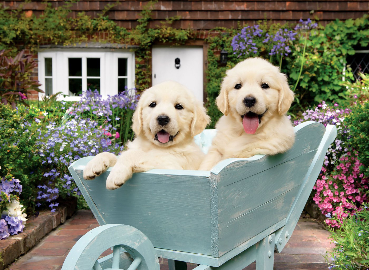 Puppies In A Wheelbarrow Dogs Jigsaw Puzzle