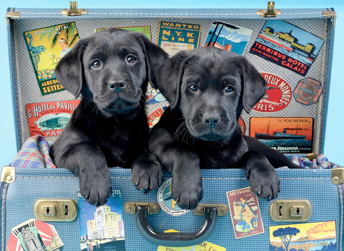 Travel Labs Dogs Jigsaw Puzzle