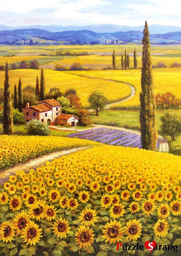 Thomas Kinkade - Sunflower Fields - 1000 Piece Puzzle –