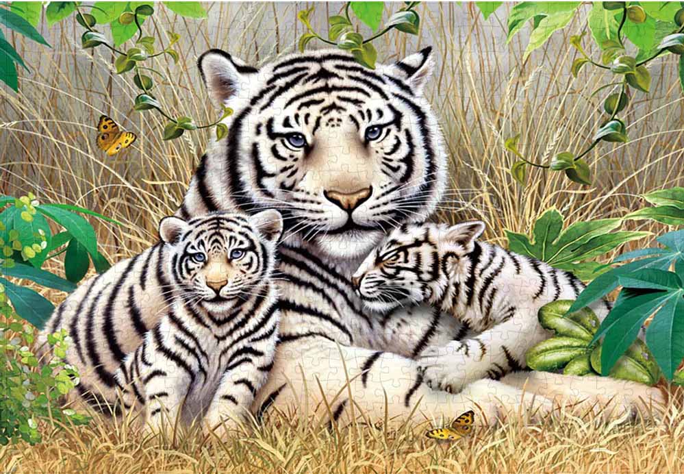 3 tiger cubs family