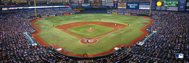 Chicago Cubs MLB Stadium Panoramics Center View, 1000 Pieces