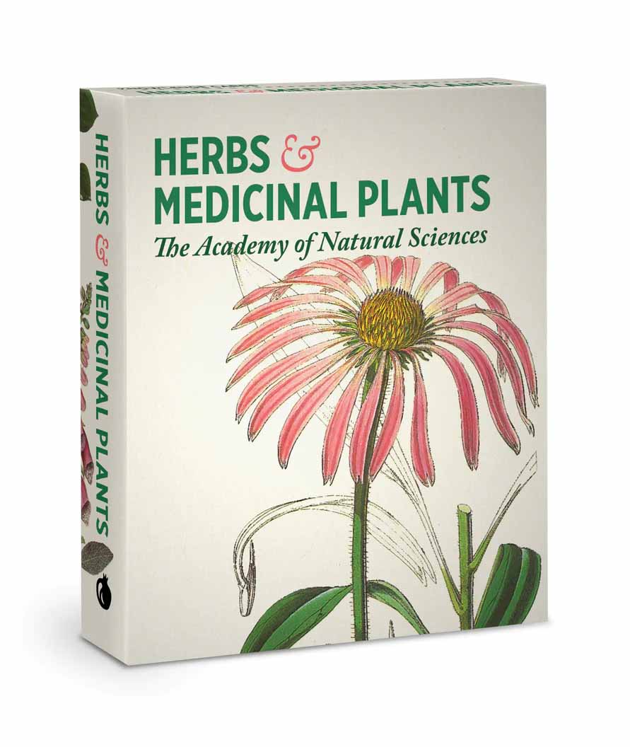 Herbs & Medicinal Plants