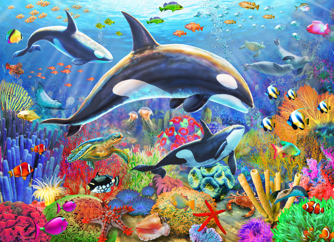 Orca Fun Sea Life Jigsaw Puzzle