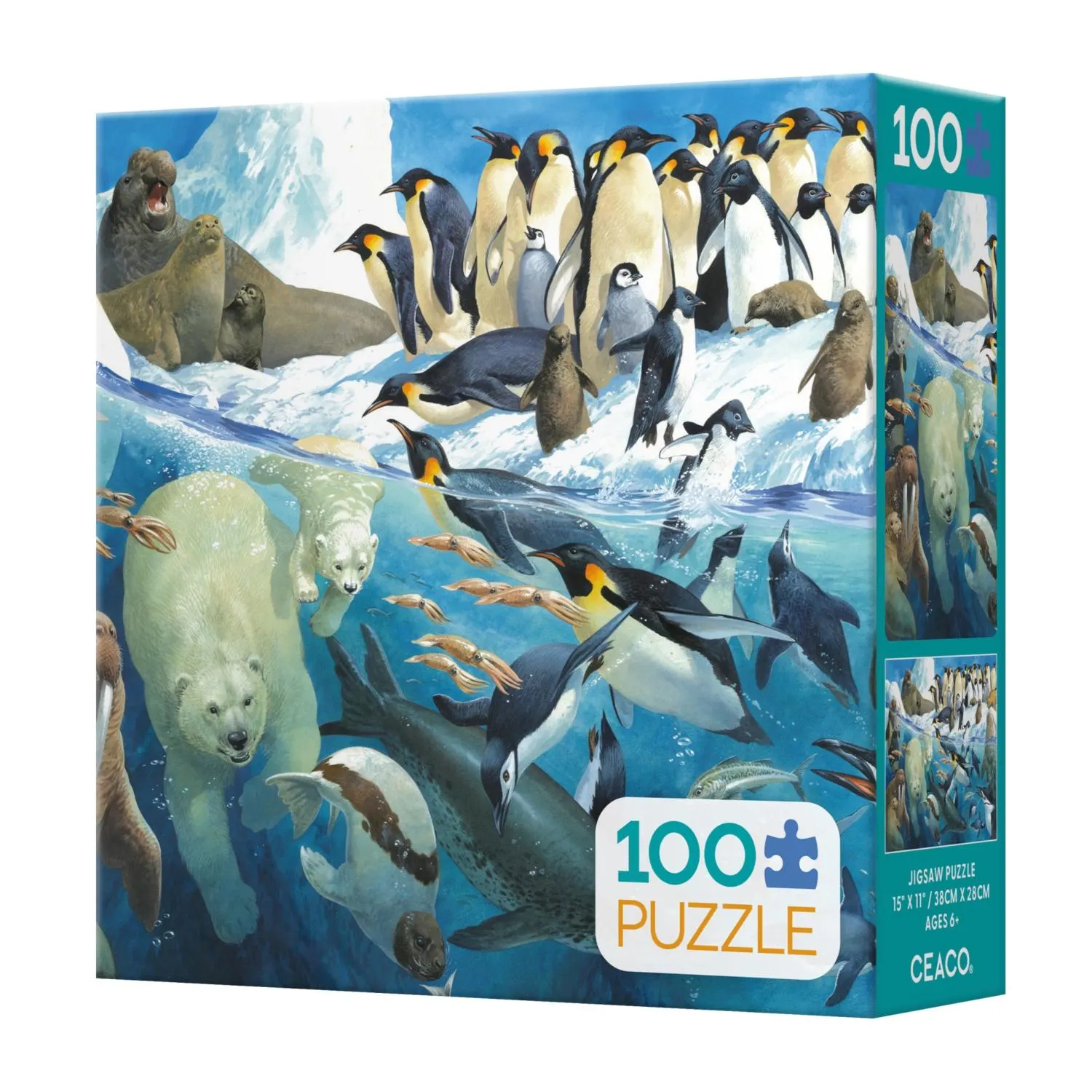 Polar Parents (John Francis)