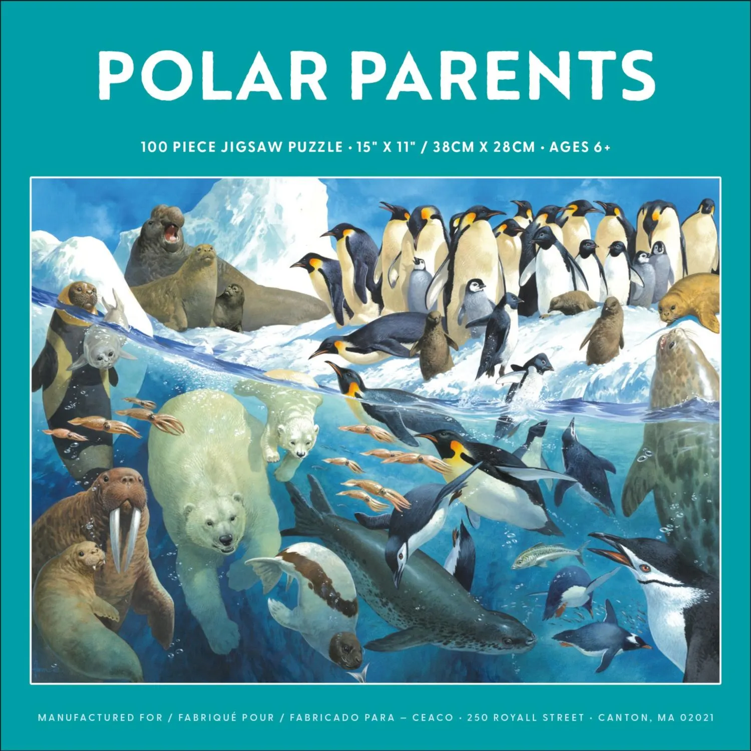 Polar Parents (John Francis)