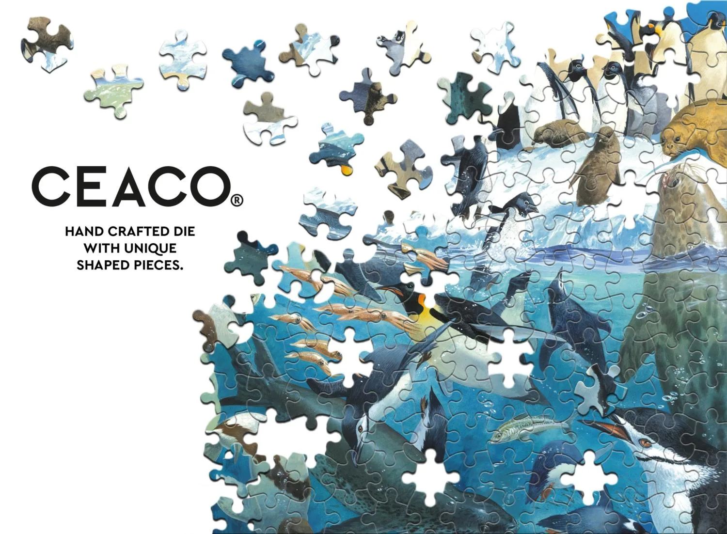 Polar Parents (John Francis)