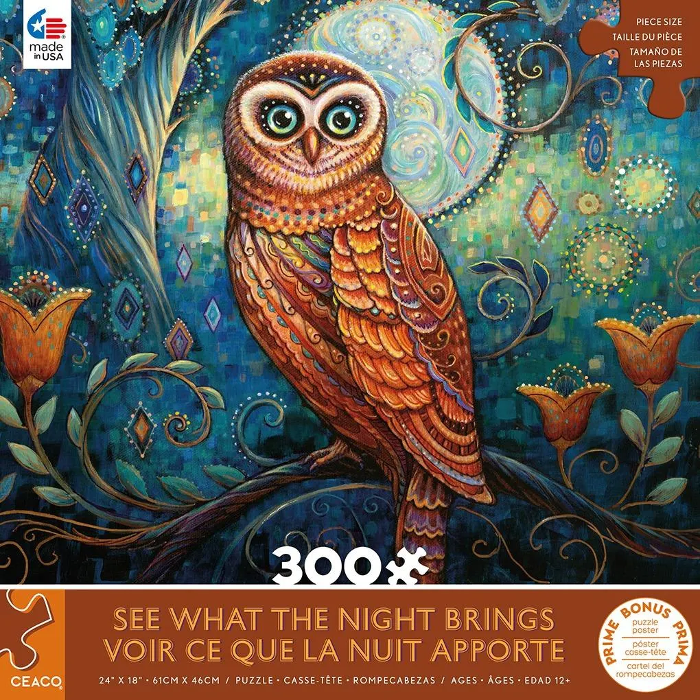 See What the Night Brings