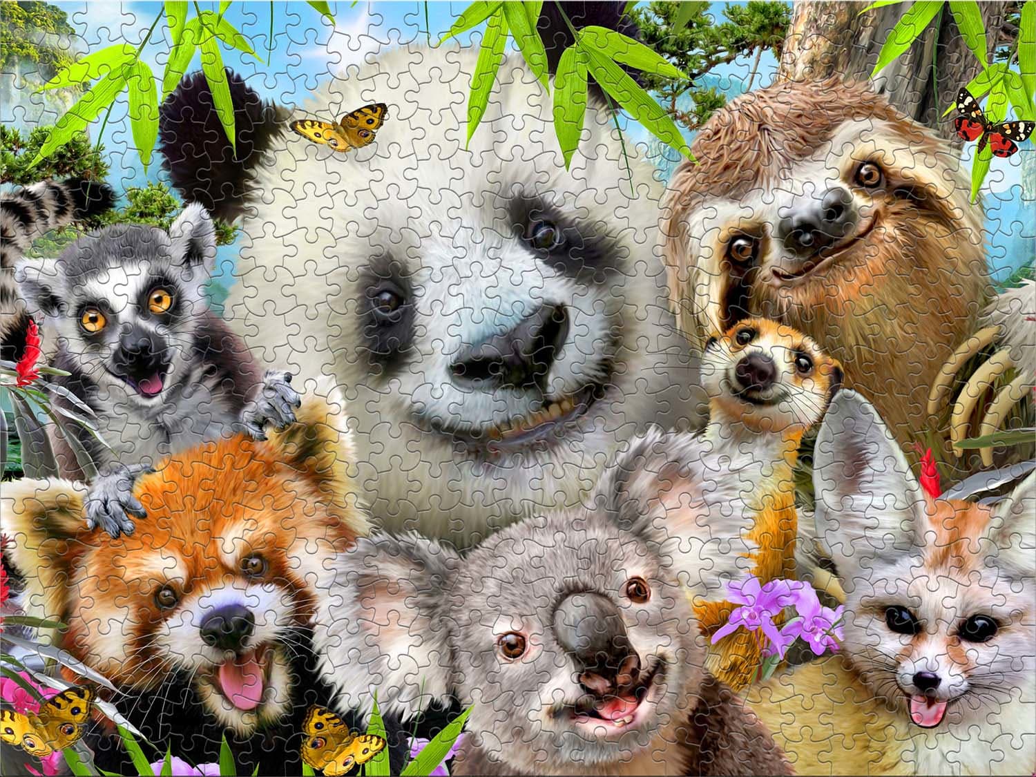 Panda & Friends Selfies