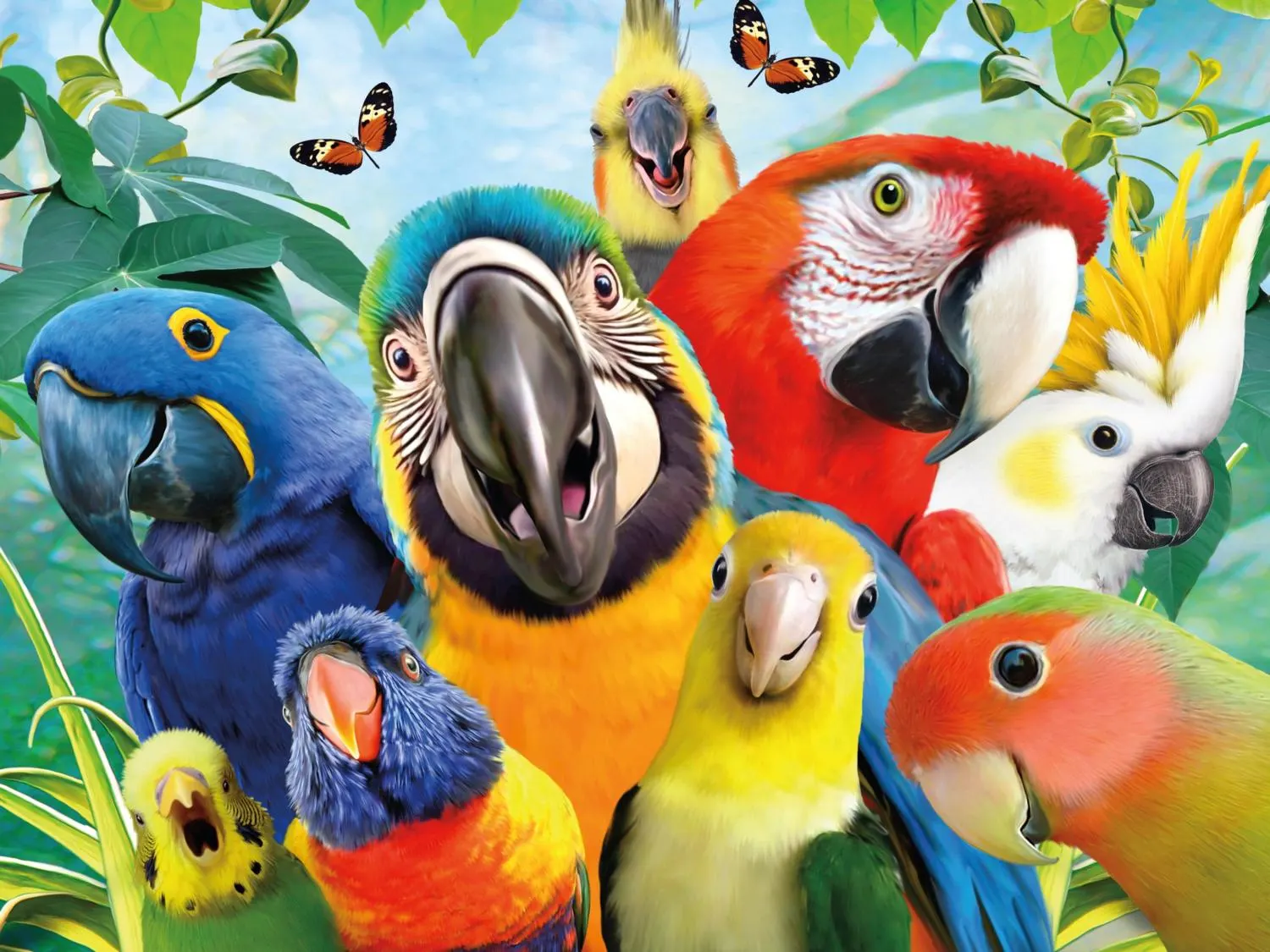 Perfect Parrot Selfies Birds