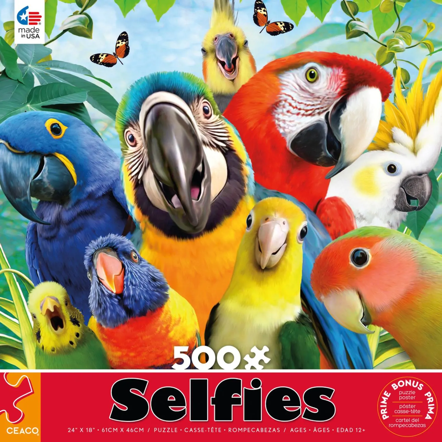 Perfect Parrot Selfies
