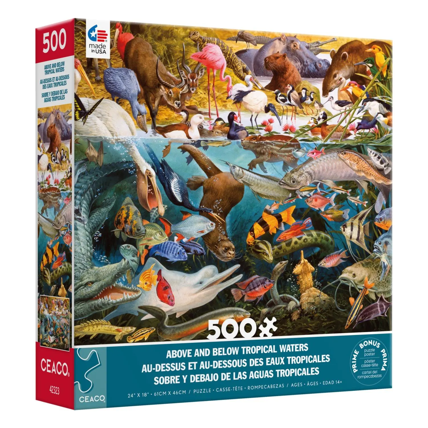 Above and Below: Tropical Waters (John Francis)