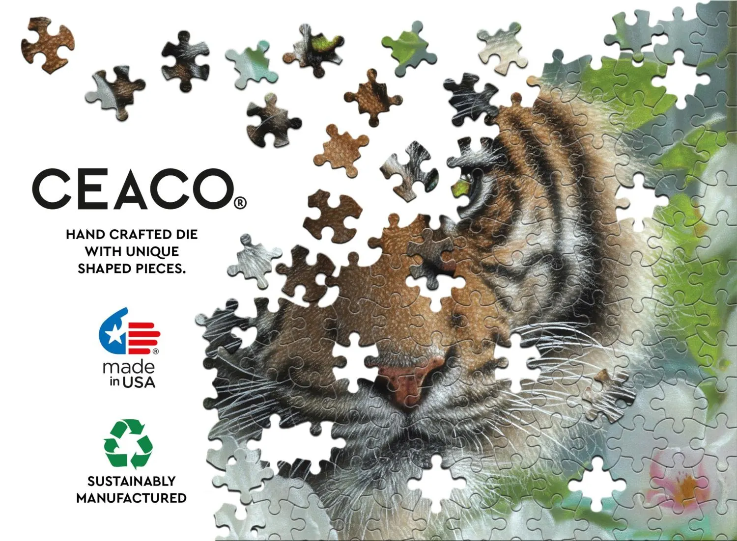 Orchid Haven (Collin Bogle)