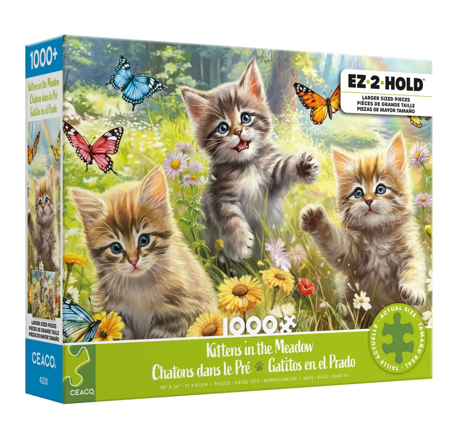 Kittens in the Meadow