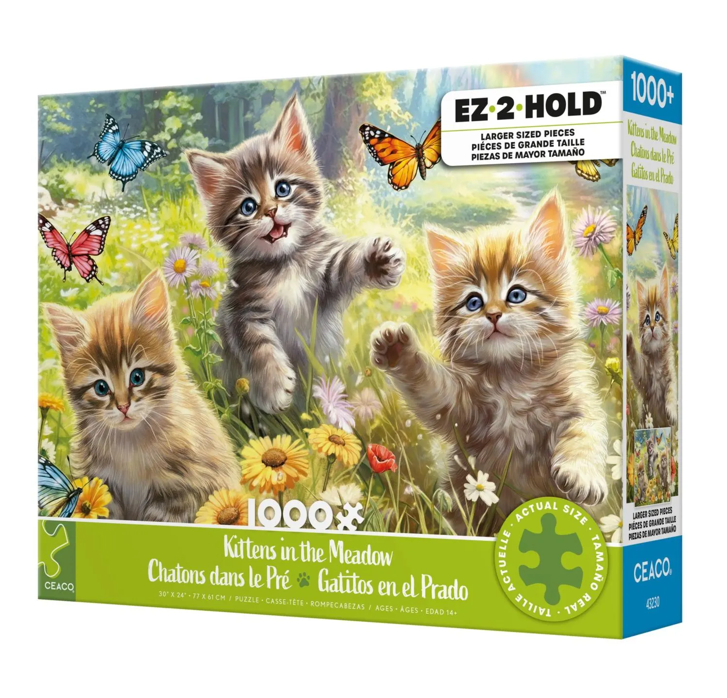 Kittens in the Meadow