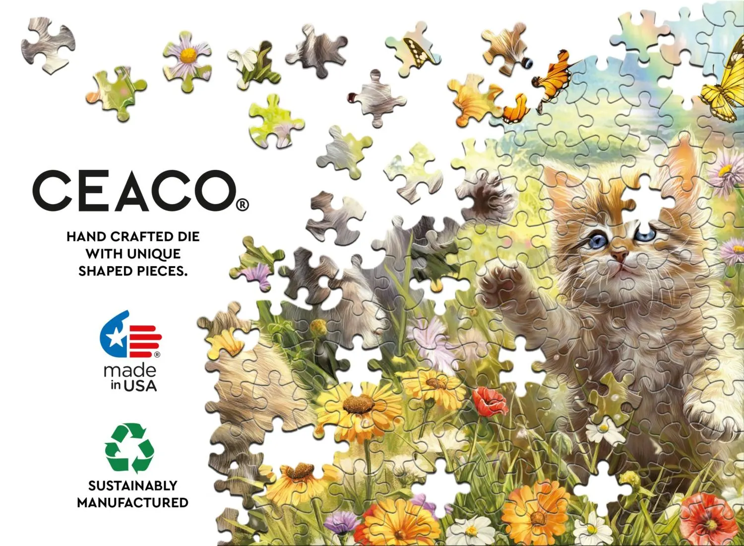 Kittens in the Meadow