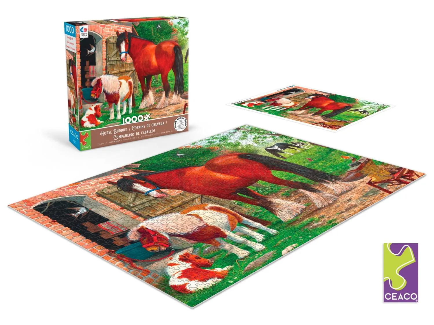 Horse Buddies (Tracy Hall)