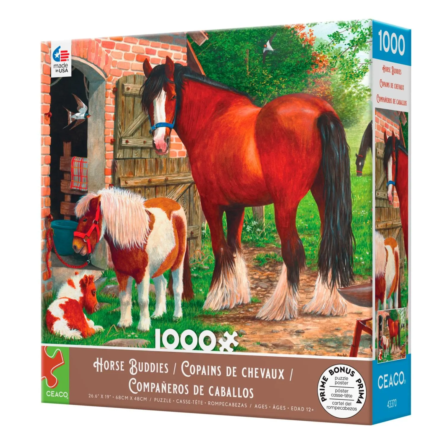 Horse Buddies (Tracy Hall)