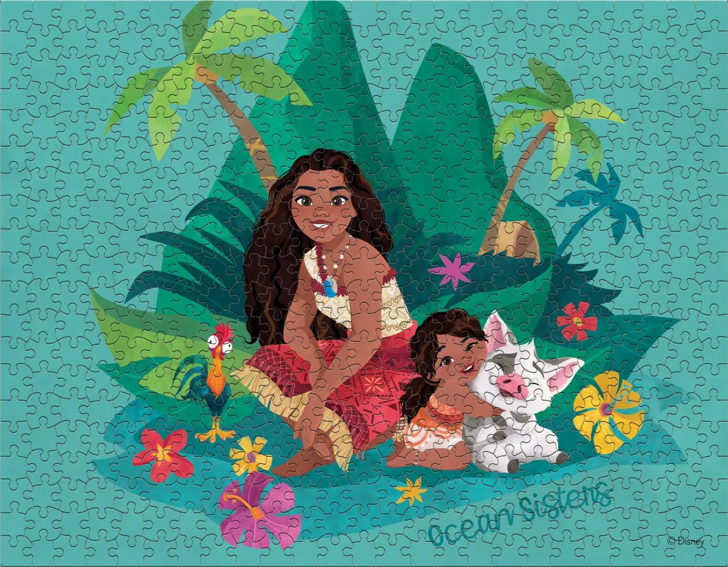 Disney Moana 2