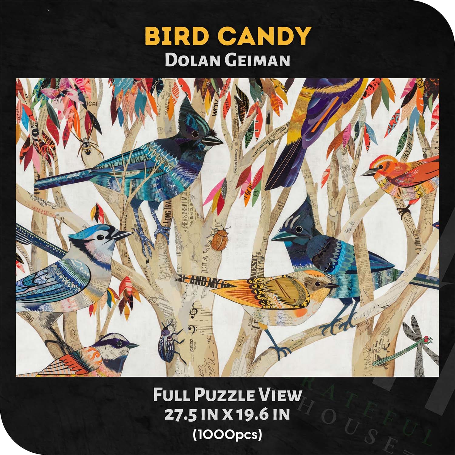 Bird Candy by Dolan Geiman
