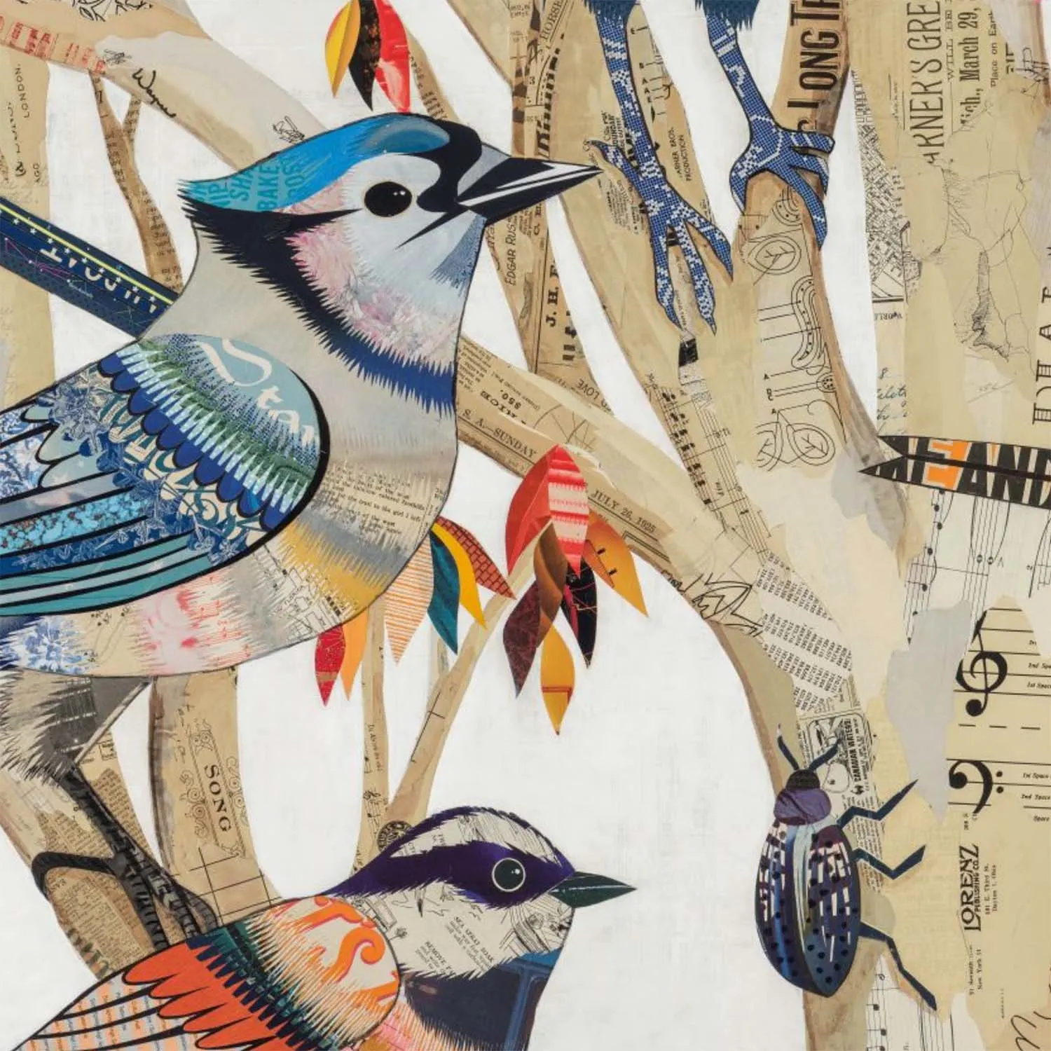 Bird Candy by Dolan Geiman Birds