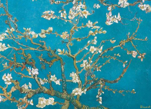 Almond Blossom Flower & Garden Jigsaw Puzzle