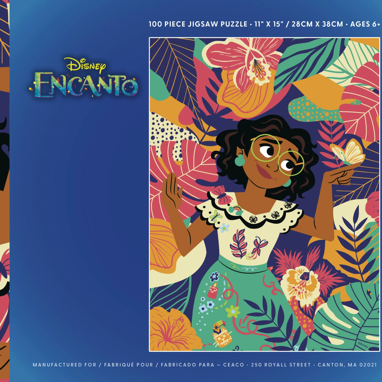 Disney Encanto Tropical