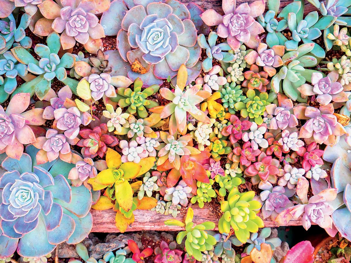 Pretty Pastels Flower & Garden Jigsaw Puzzle