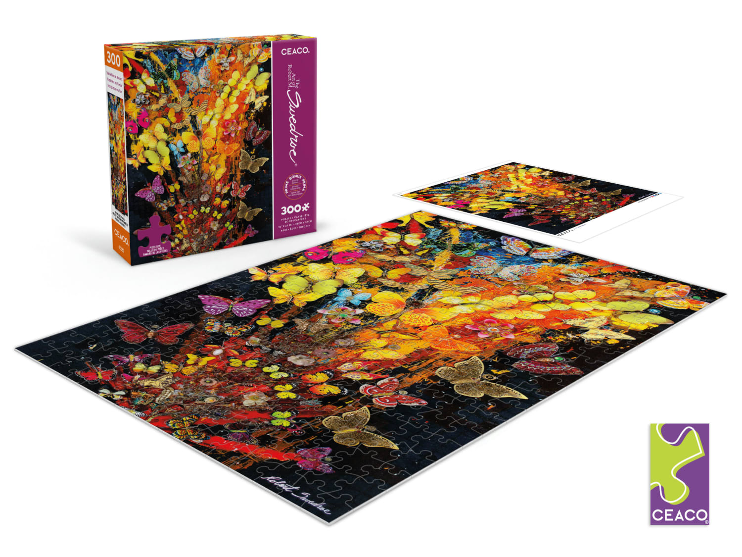 Butterflies in Bloom