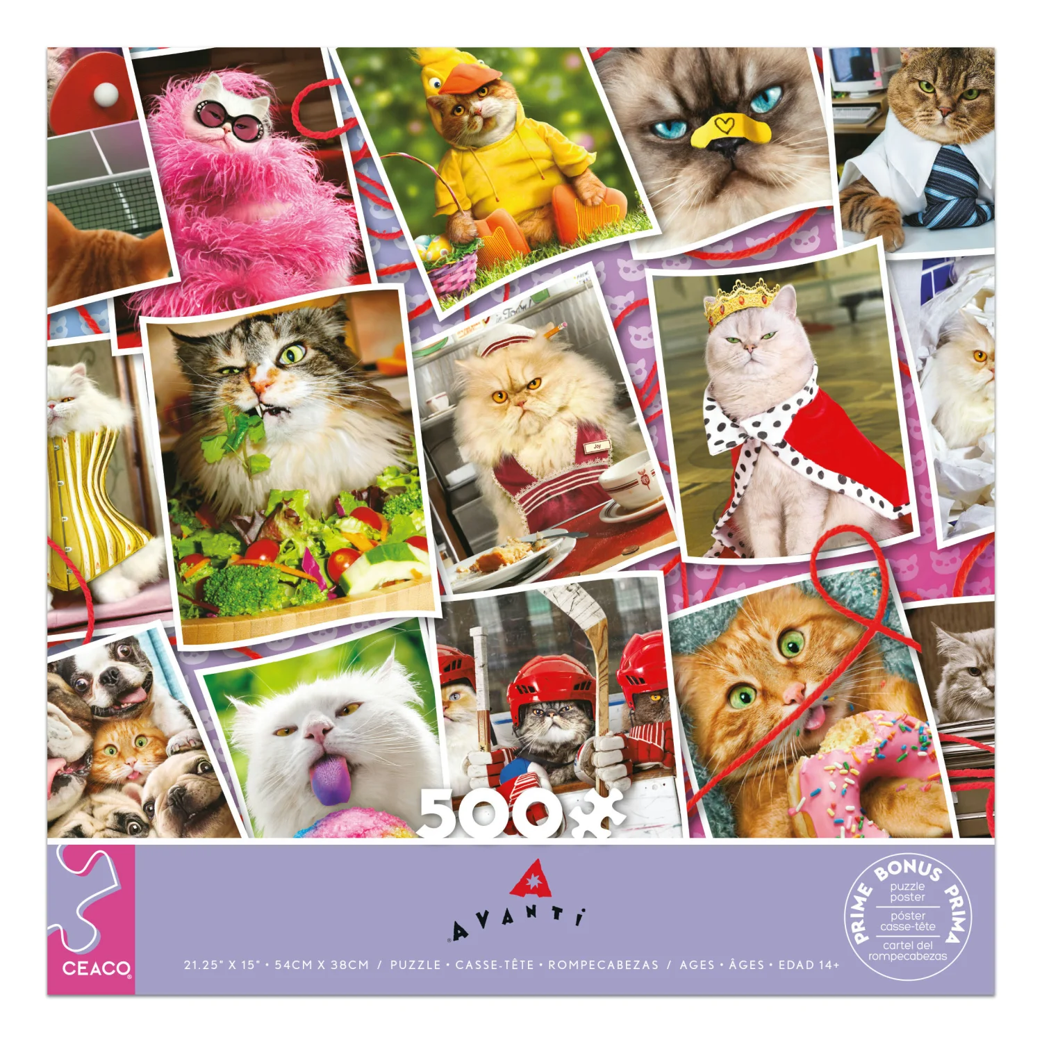 Cranky Kitties Collage Cats