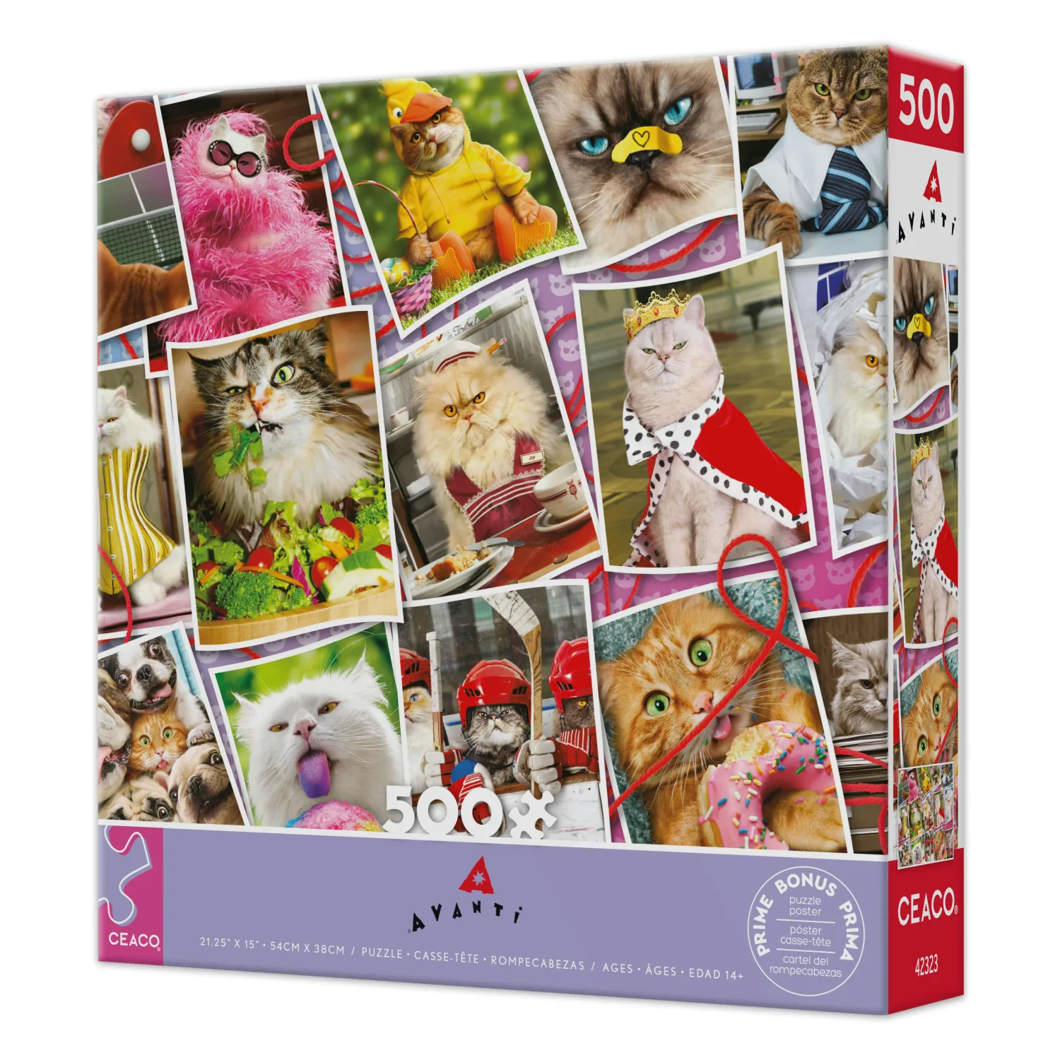 Cranky Kitties Collage