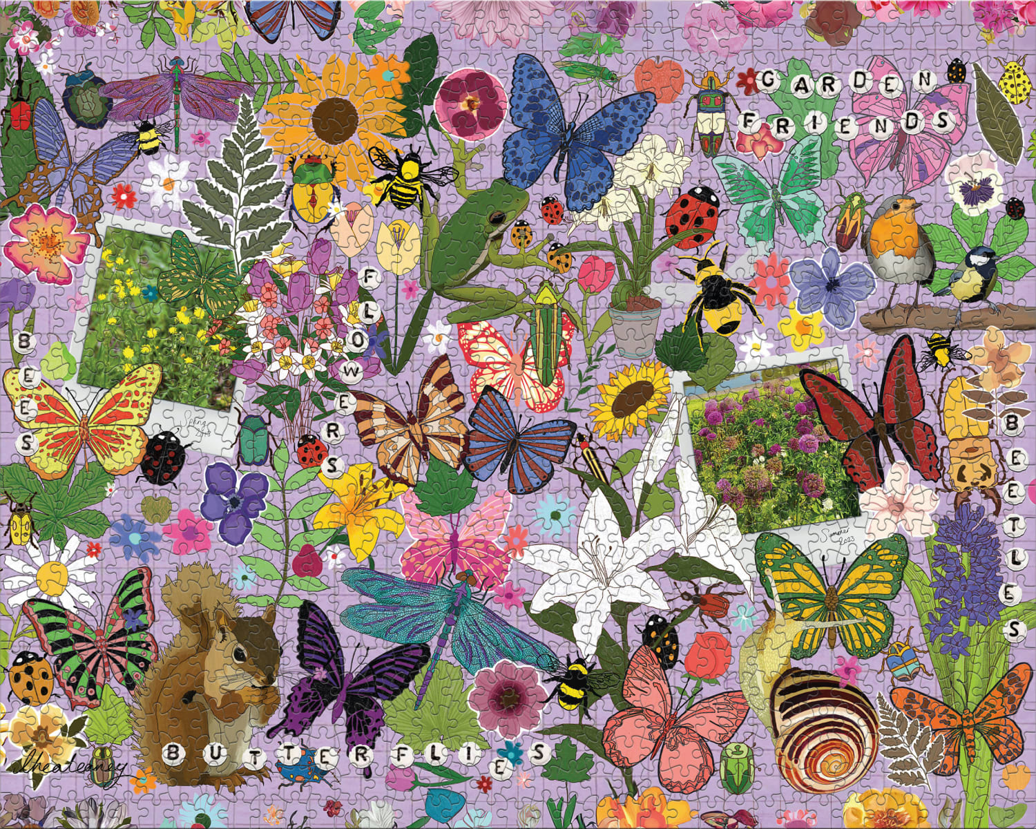 Beetles & Butterflies