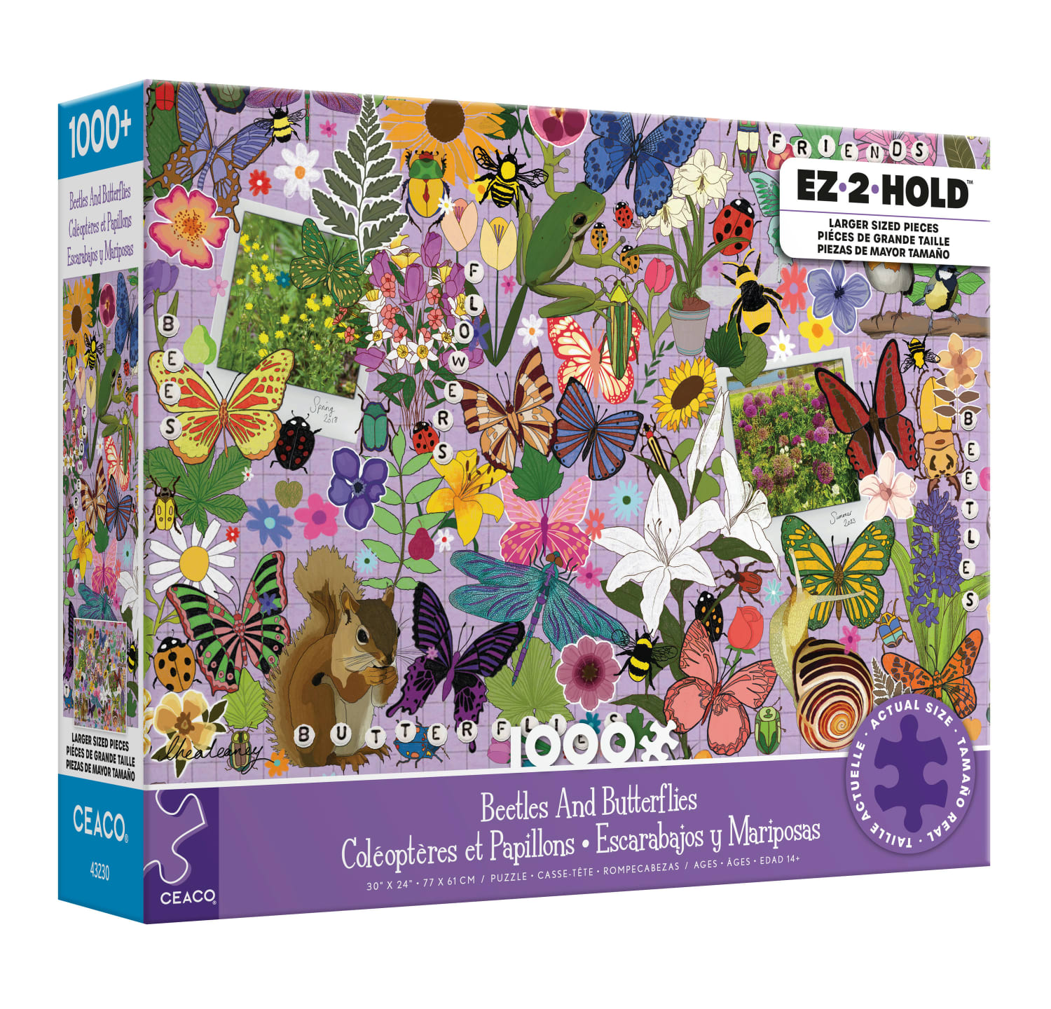 Beetles & Butterflies