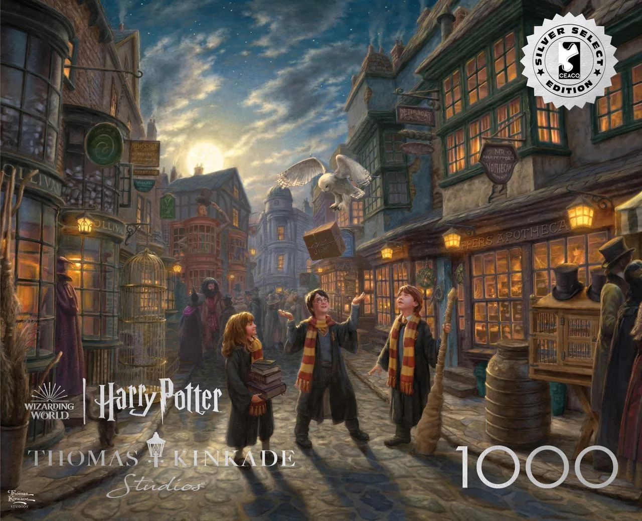 SILVER: Harry Potter Diagon Alley Movies & TV