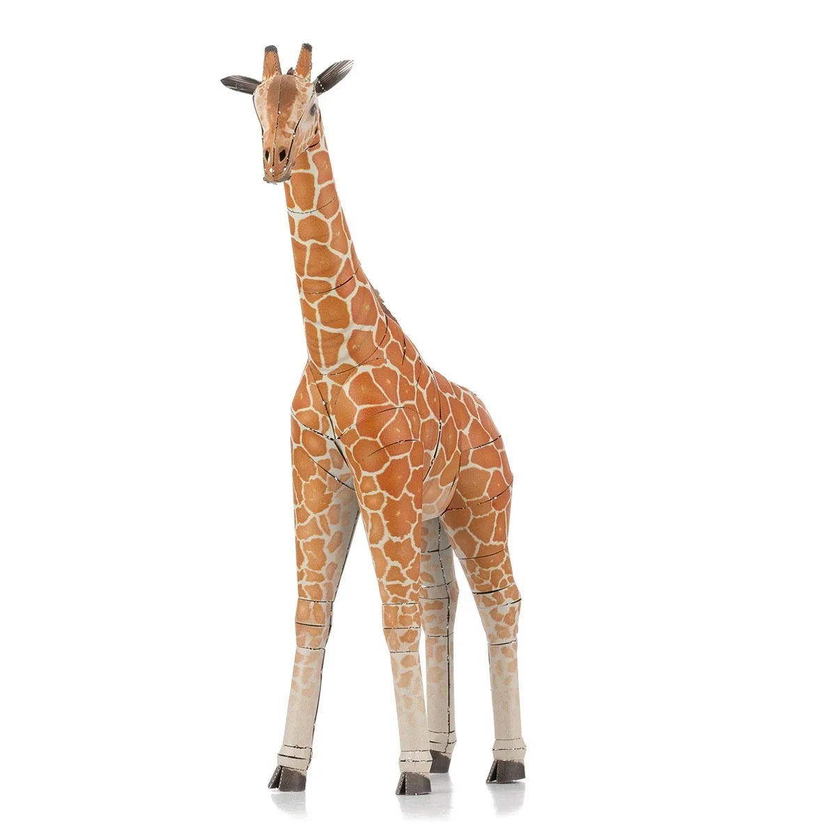 Giraffe Animals