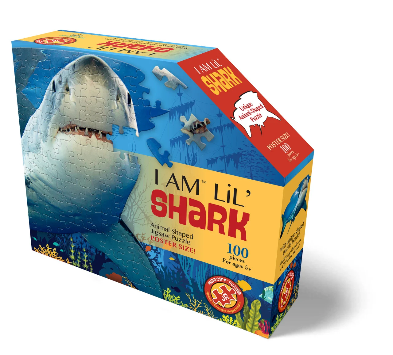 I AM Lil' Shark