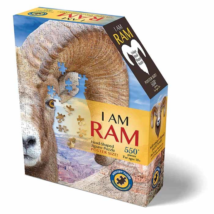 I AM Ram