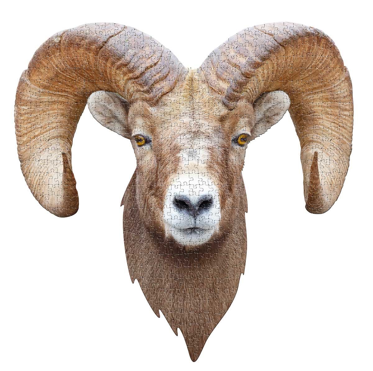 I AM Ram Animals
