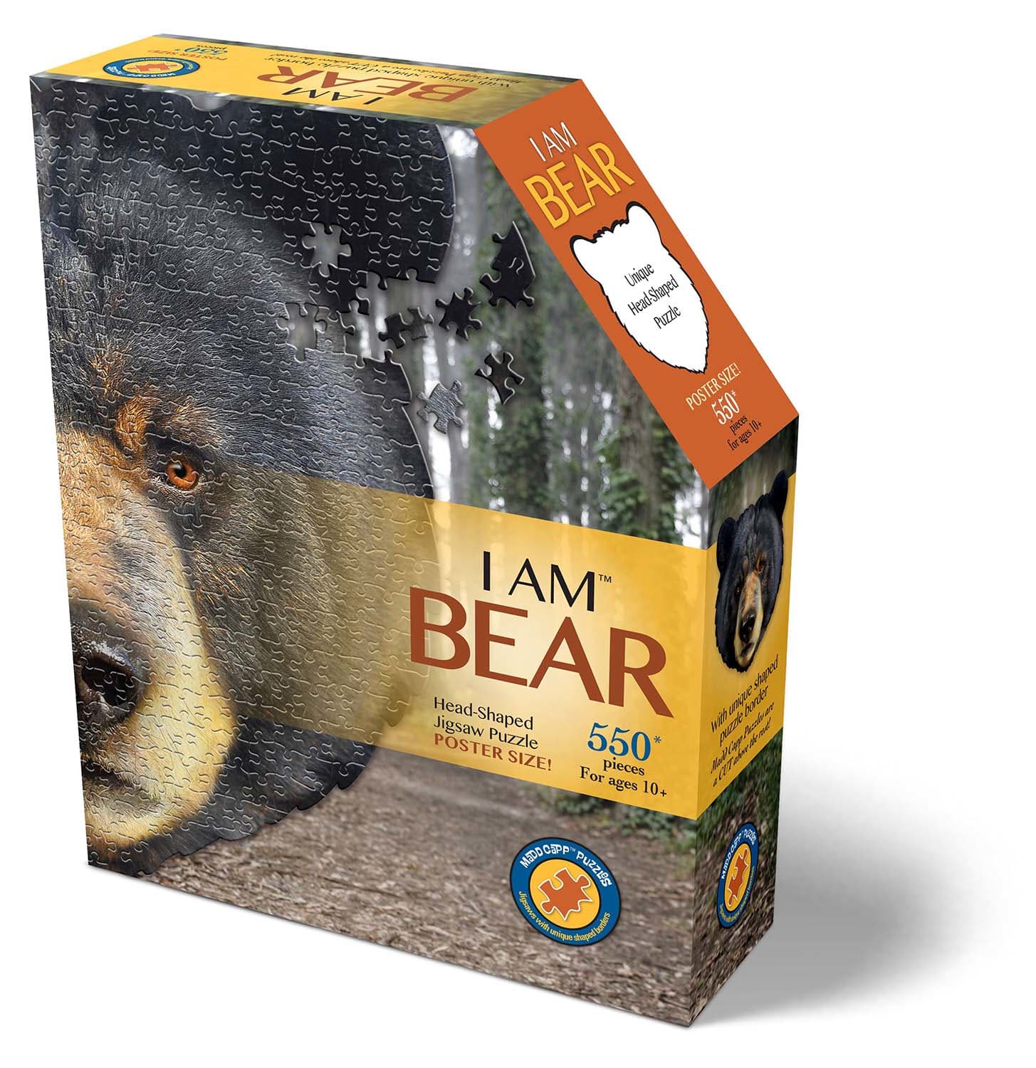 I Am Bear