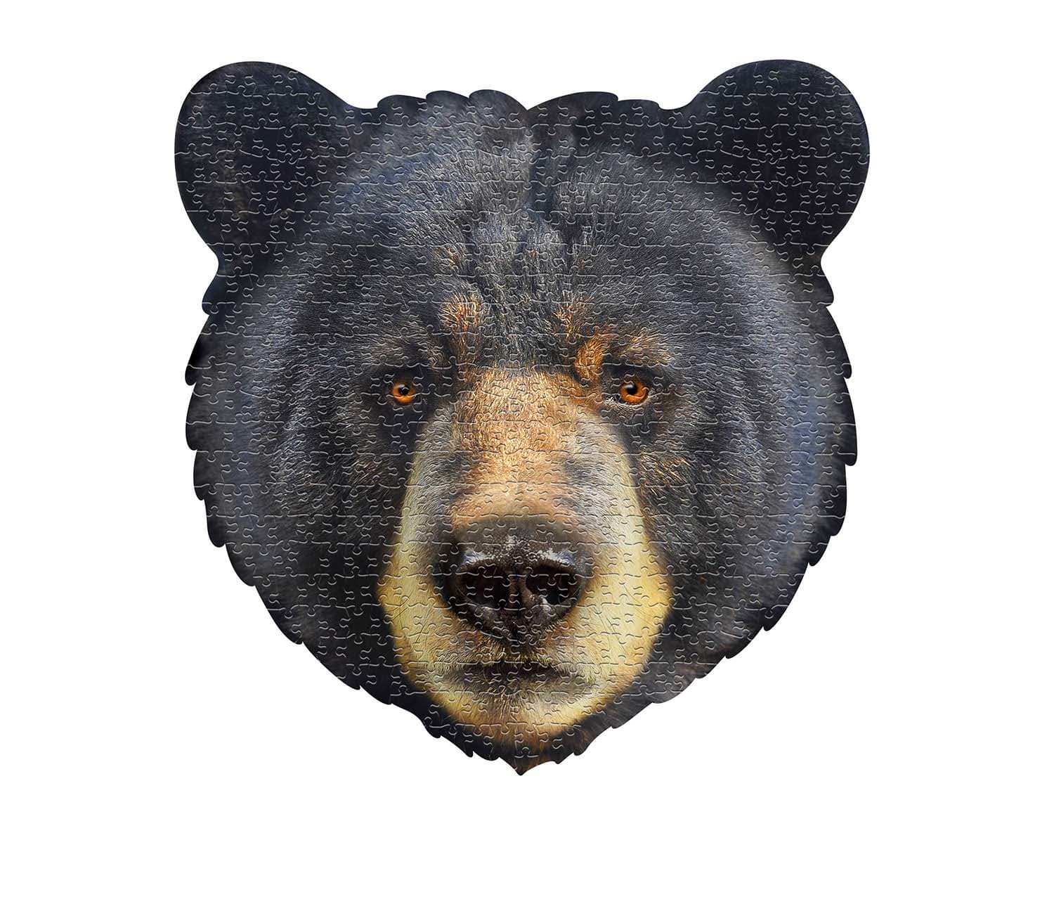 I Am Bear Forest Animal