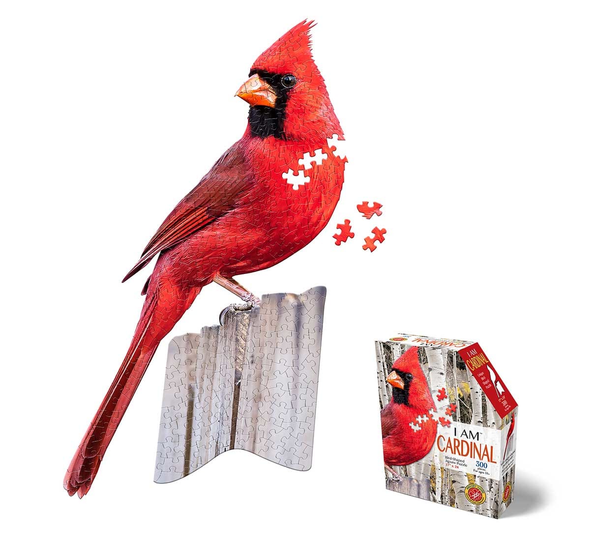I AM Cardinal Birds