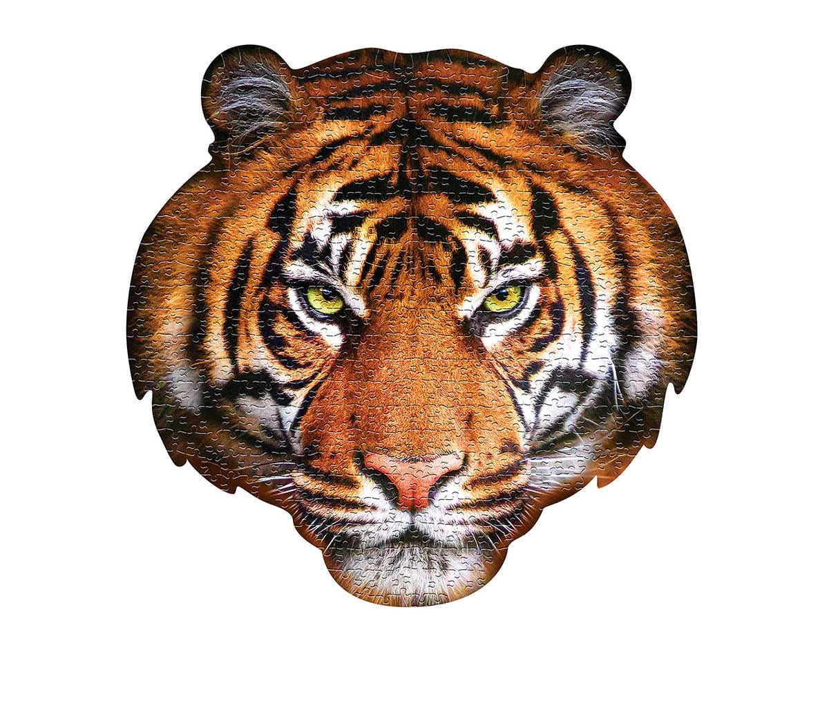 I AM Tiger Big Cats