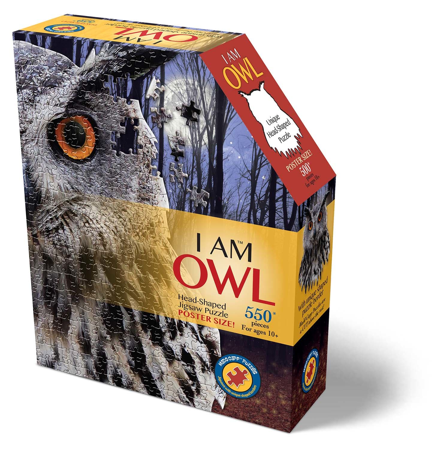 I AM Owl