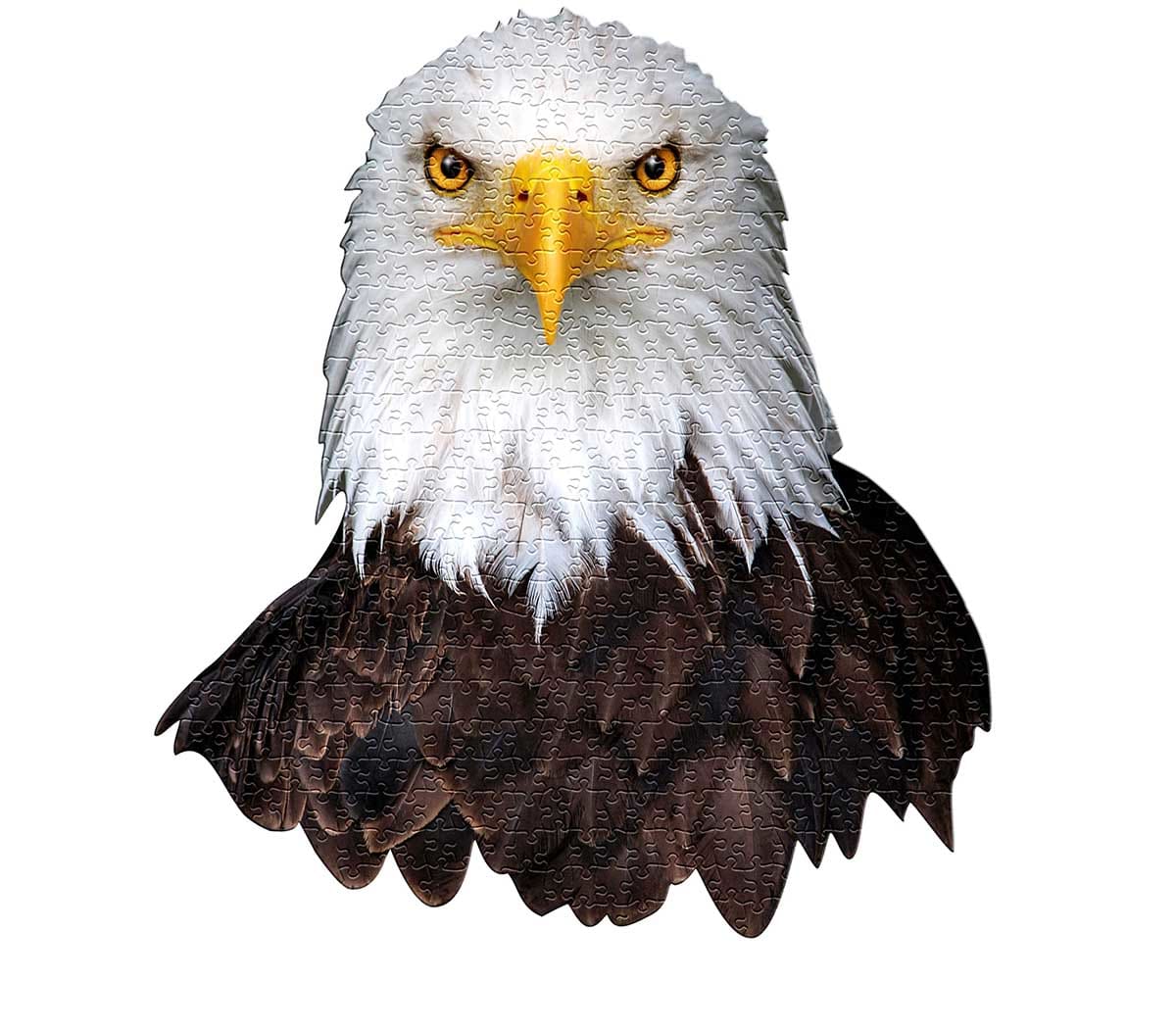 I AM EAGLE Eagle